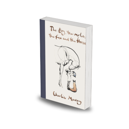 The Boy, the Mole, the Fox and the Horse and Storm(Hardcover) by Charlie Mackesy