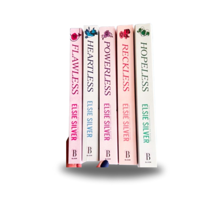 Chestnut Springs Series: 5-Book Boxset by Elsie Silver