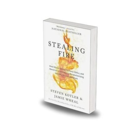 Stealing fire by Steven Kotler